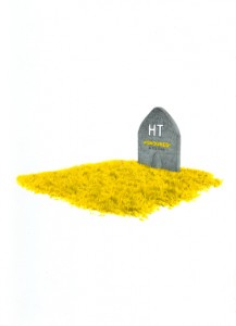 ht1